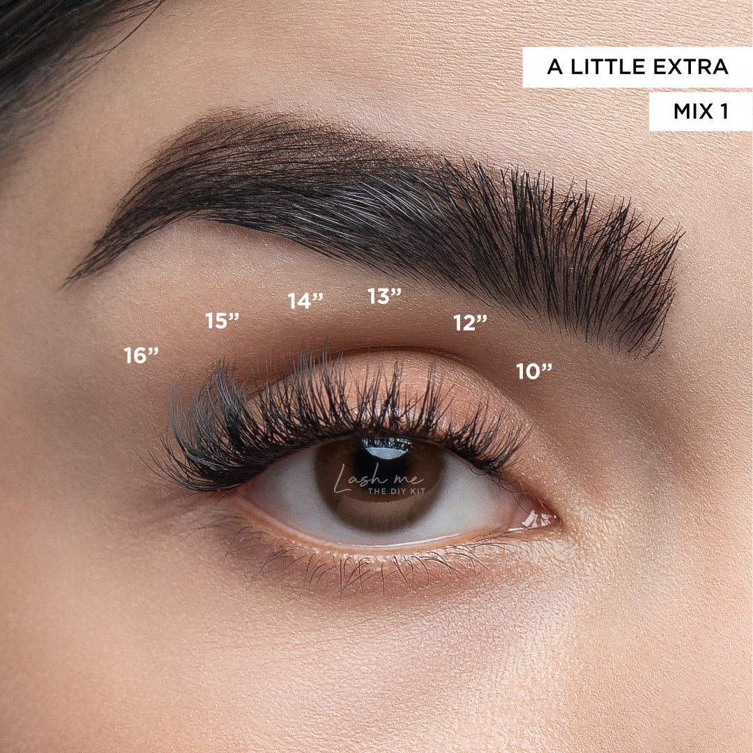 Pro artist kit. A LITTLE EXTRA