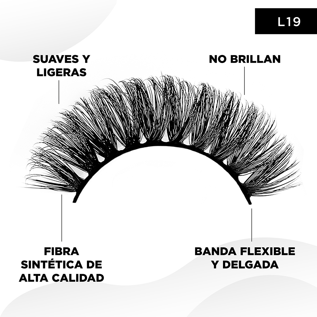 L19