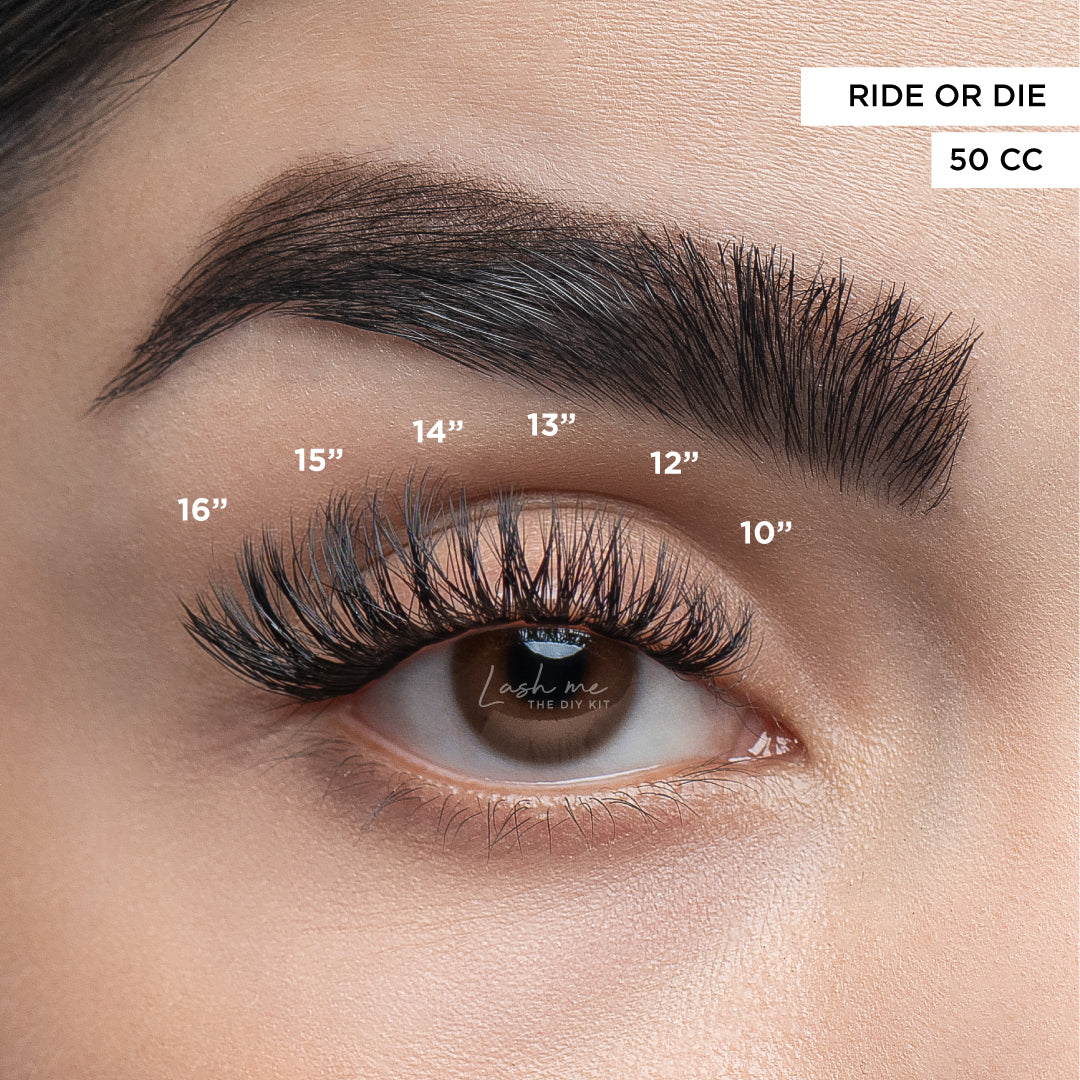 Pro artist kit. RIDE OR DIE