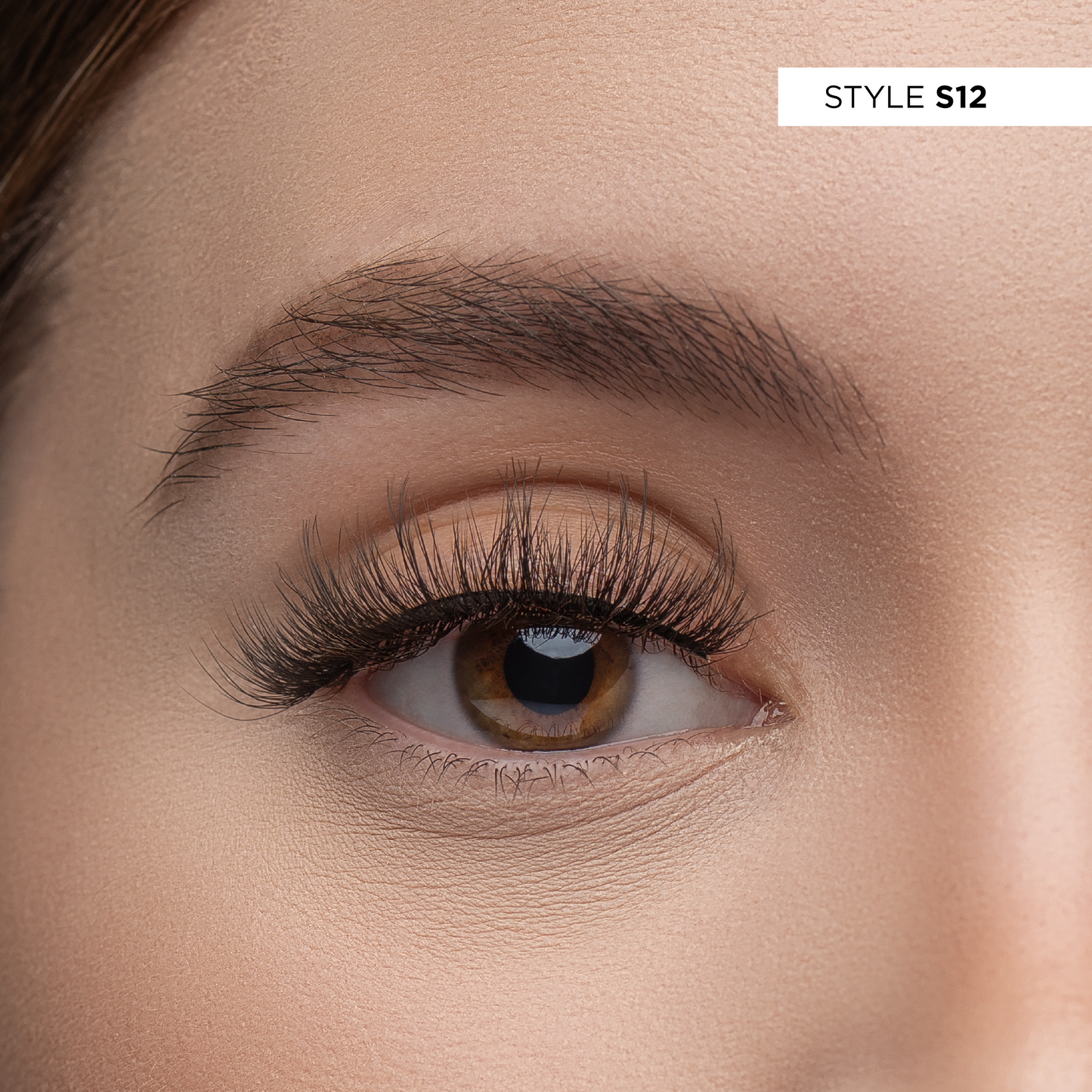 S12 - 3D Studio Lash Kit
