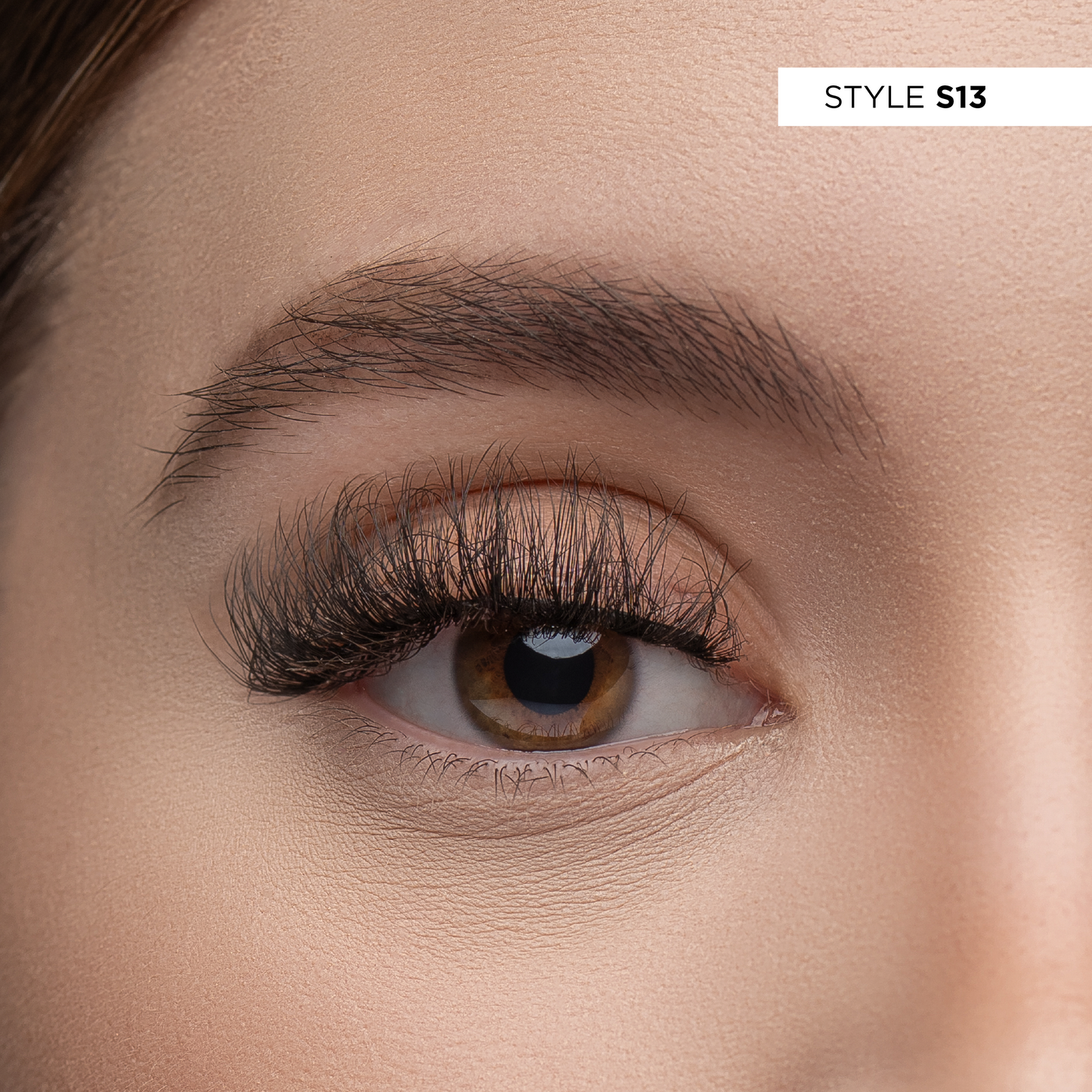 S13 - 3D Studio Lash Kit
