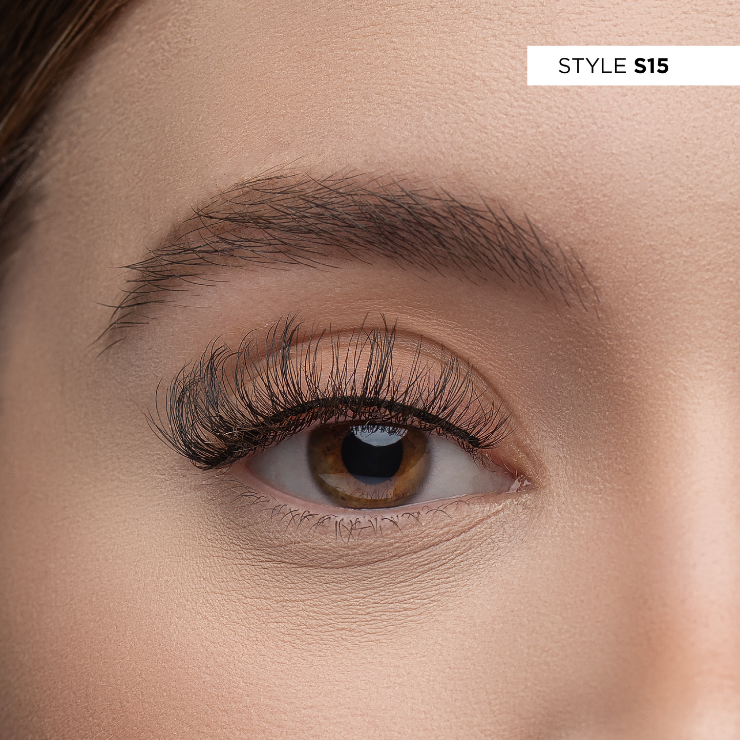 S15 - 3D Studio Lash Kit