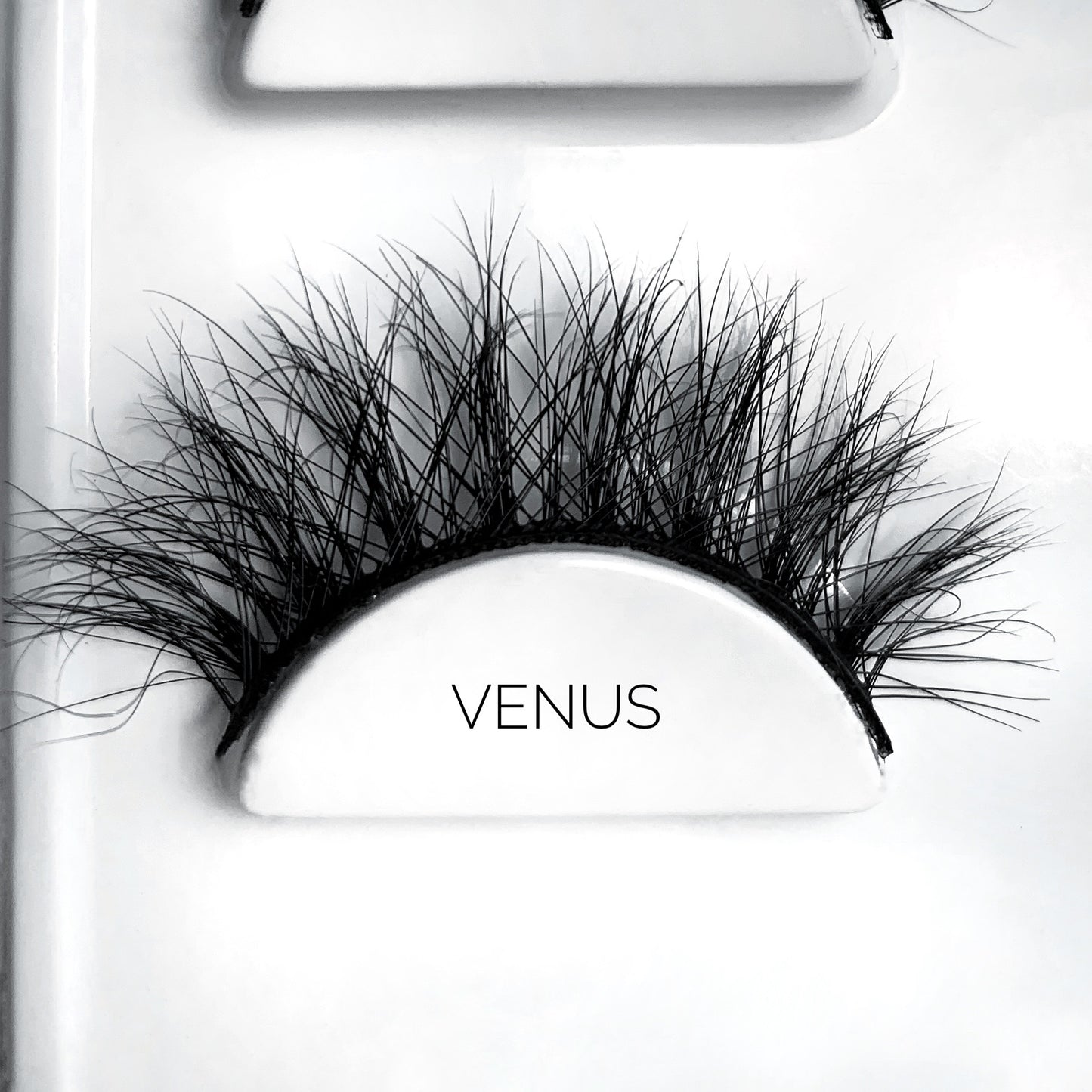 Venus