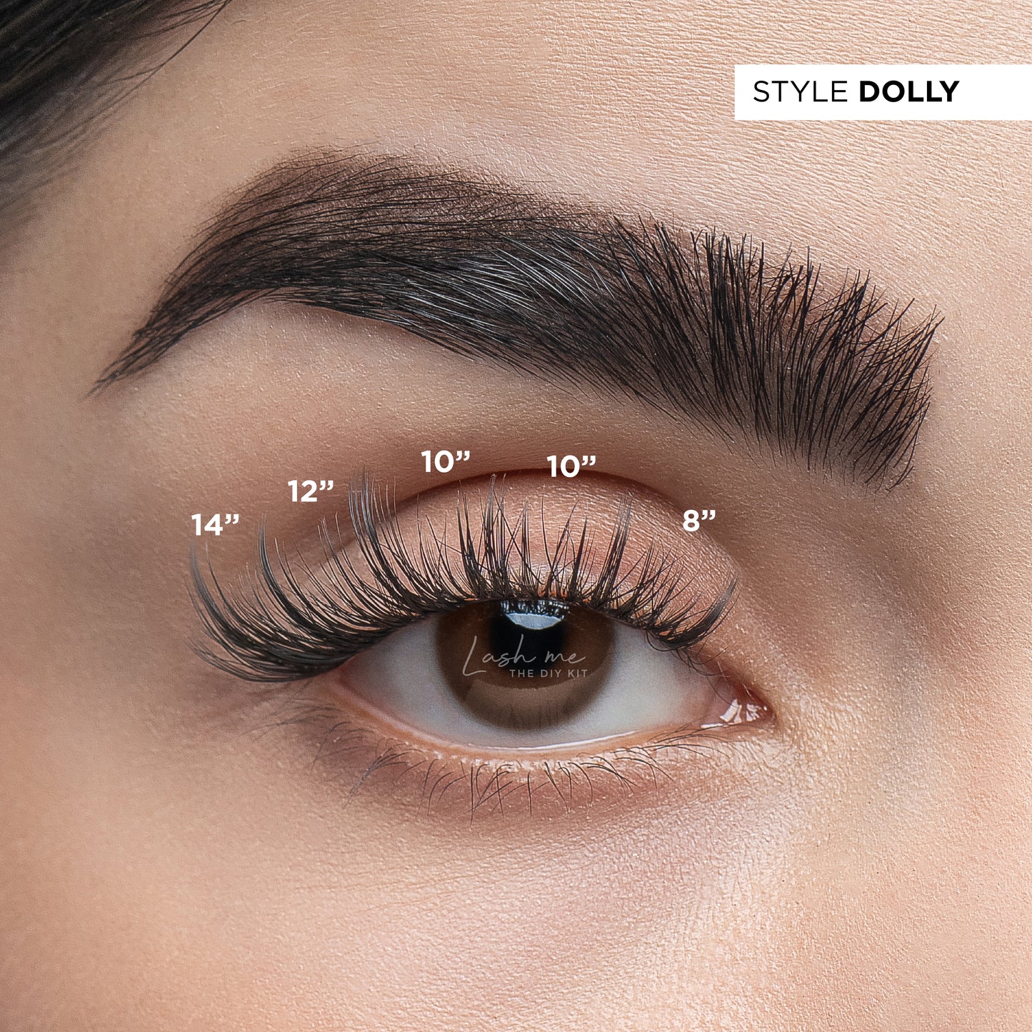 Lash me. The DIY Kit Dolly