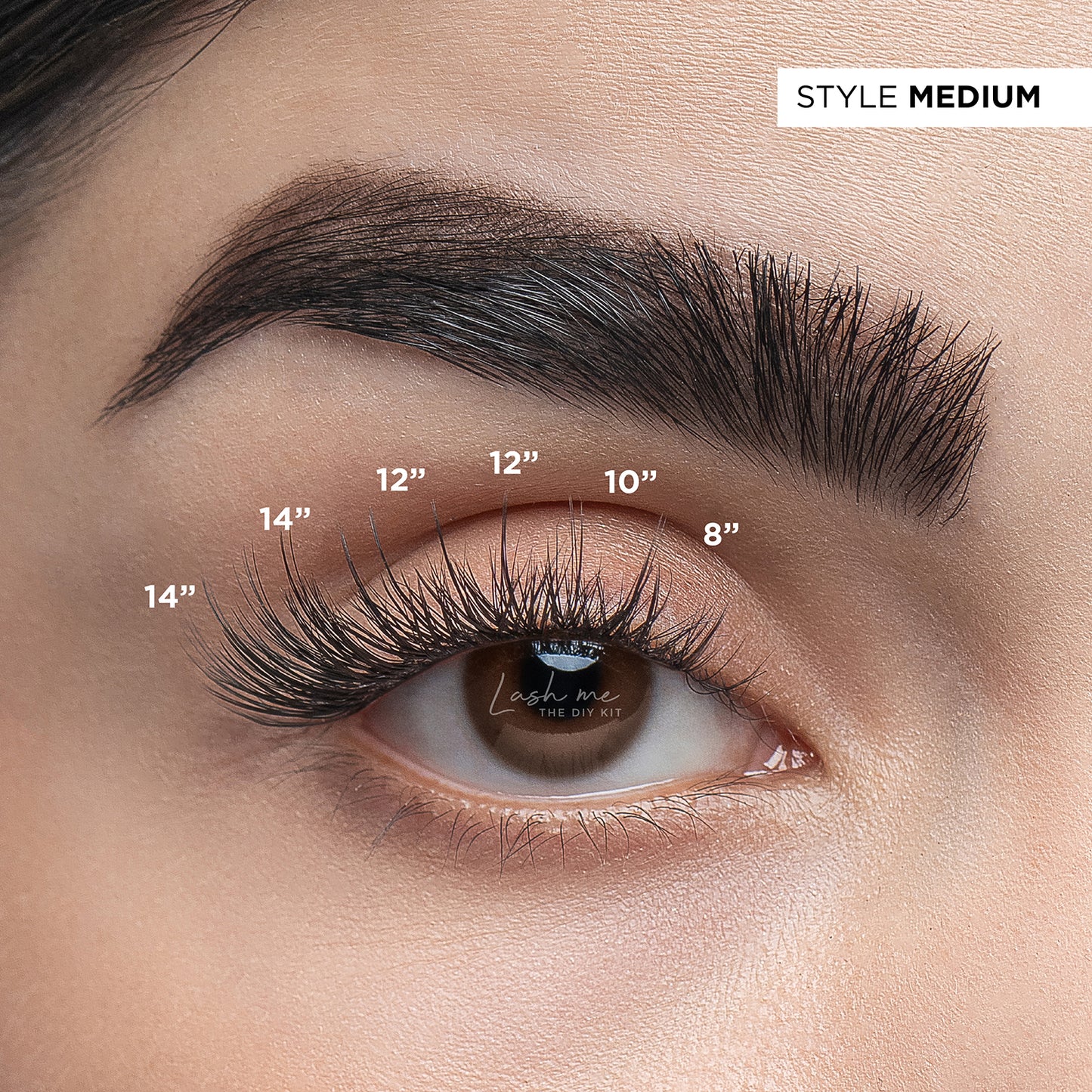 Lash me. The DIY Kit Medium