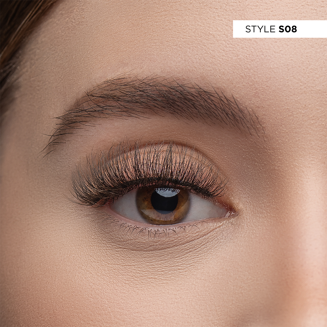 S08 - 3D Studio Lash Kit