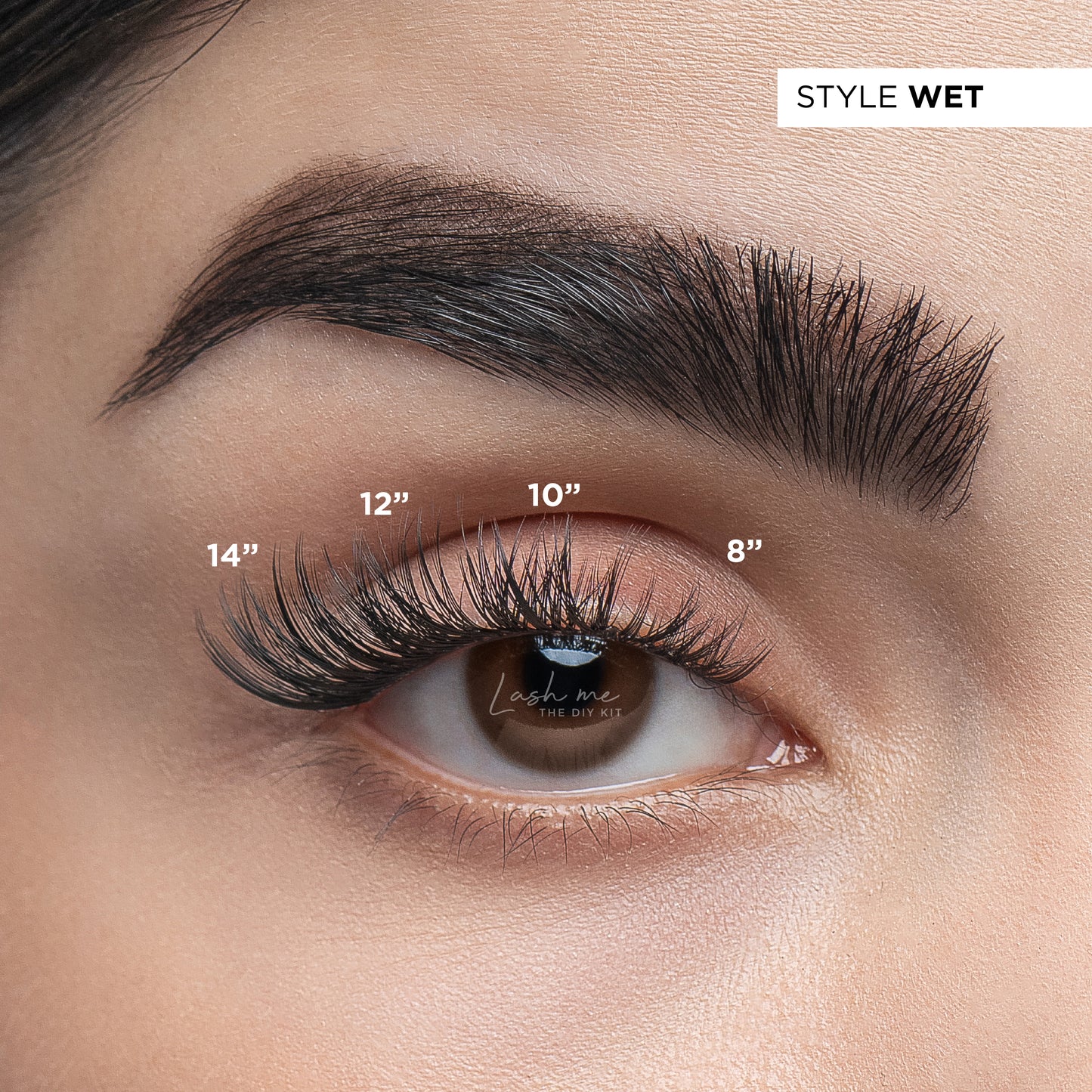 Lash me. The DIY Kit Wet